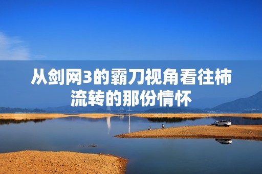 从剑网3的霸刀视角看往柿流转的那份情怀