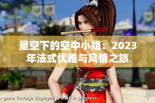 星空下的空中小姐：2023年法式优雅与风情之旅