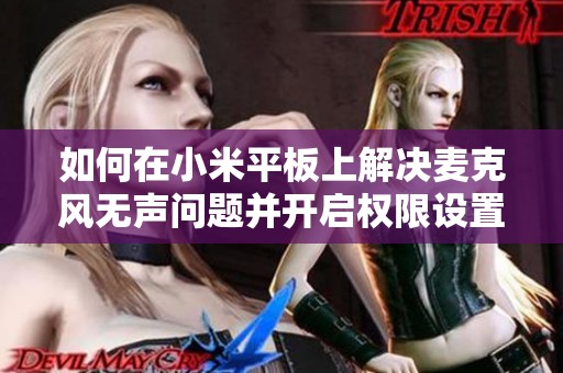 如何在小米平板上解决麦克风无声问题并开启权限设置