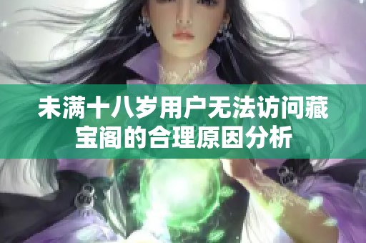 未满十八岁用户无法访问藏宝阁的合理原因分析