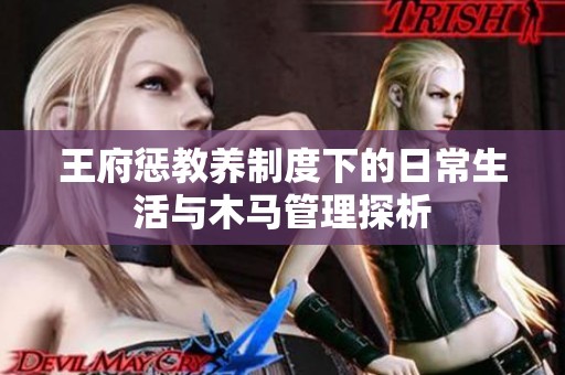 王府惩教养制度下的日常生活与木马管理探析
