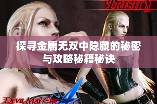 探寻金庸无双中隐藏的秘密与攻略秘籍秘诀