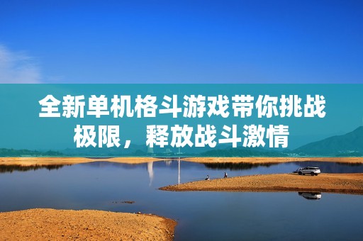 全新单机格斗游戏带你挑战极限，释放战斗激情