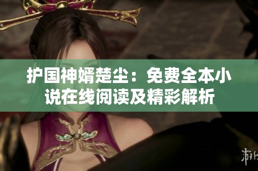 护国神婿楚尘：免费全本小说在线阅读及精彩解析