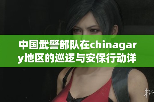 中国武警部队在chinagary地区的巡逻与安保行动详细报告