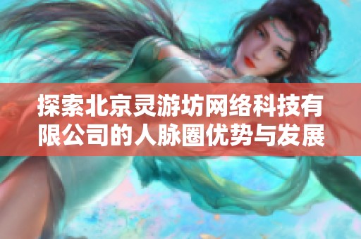 探索北京灵游坊网络科技有限公司的人脉圈优势与发展潜力