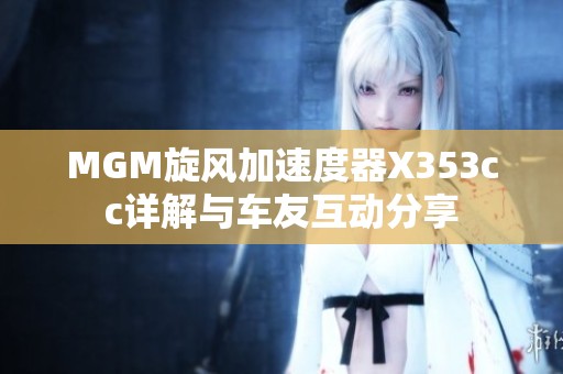 MGM旋风加速度器X353cc详解与车友互动分享