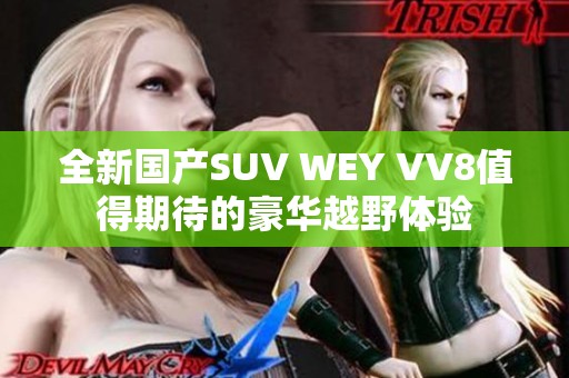 全新国产SUV WEY VV8值得期待的豪华越野体验