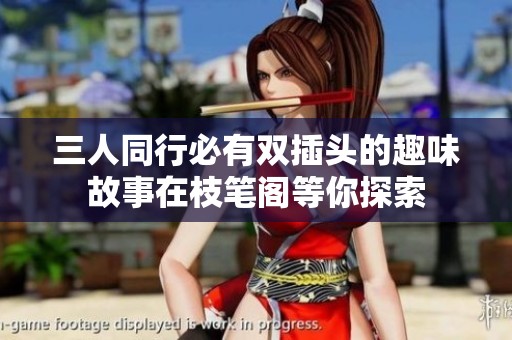 三人同行必有双插头的趣味故事在枝笔阁等你探索