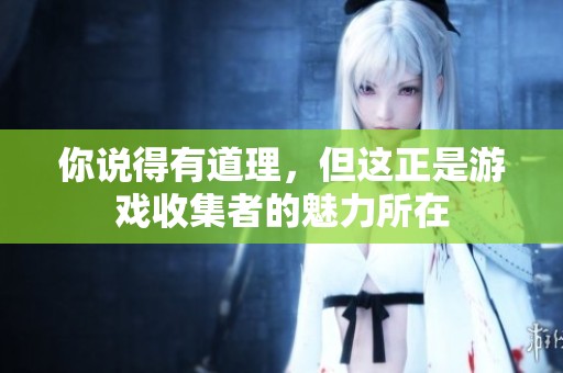 你说得有道理，但这正是游戏收集者的魅力所在
