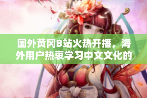 国外黄冈B站火热开播，海外用户热衷学习中文文化的新平台