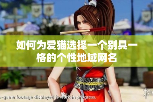 如何为爱猫选择一个别具一格的个性地域网名