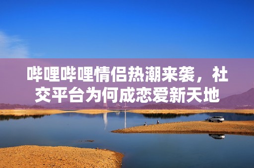 哔哩哔哩情侣热潮来袭，社交平台为何成恋爱新天地