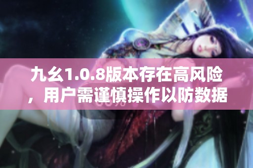 九幺1.0.8版本存在高风险，用户需谨慎操作以防数据丢失
