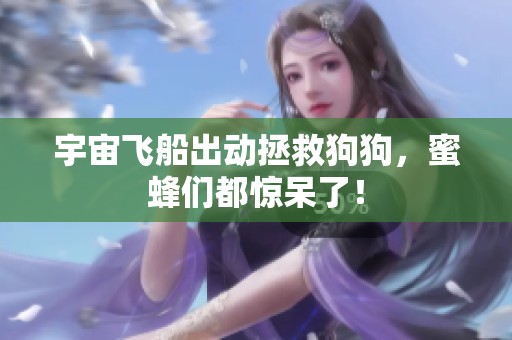 宇宙飞船出动拯救狗狗，蜜蜂们都惊呆了！