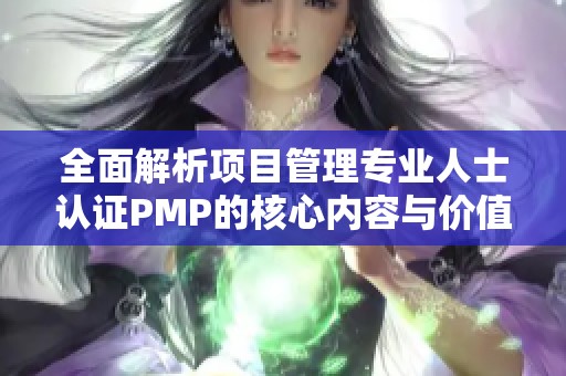 全面解析项目管理专业人士认证PMP的核心内容与价值