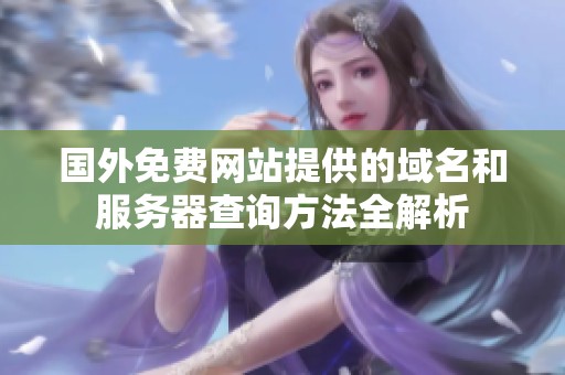 国外免费网站提供的域名和服务器查询方法全解析