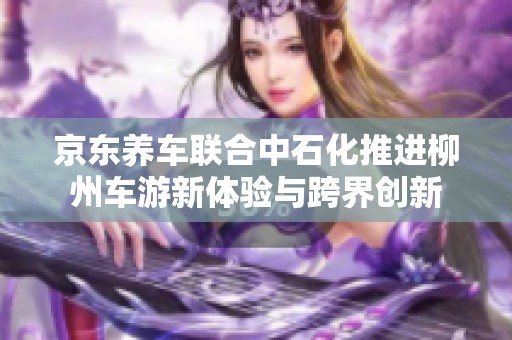 京东养车联合中石化推进柳州车游新体验与跨界创新