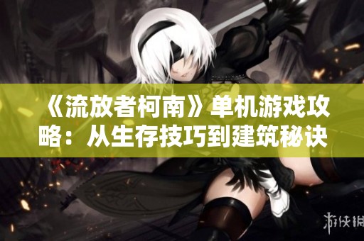 《流放者柯南》单机游戏攻略：从生存技巧到建筑秘诀全解析