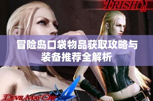 冒险岛口袋物品获取攻略与装备推荐全解析