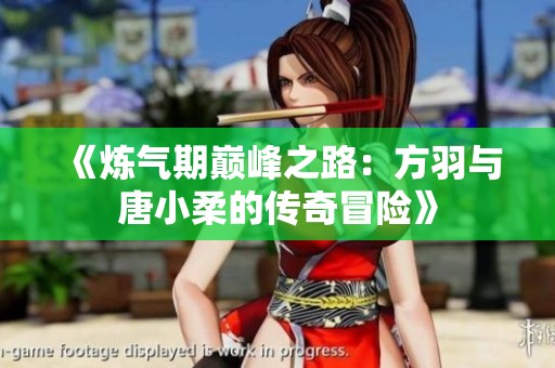 《炼气期巅峰之路：方羽与唐小柔的传奇冒险》