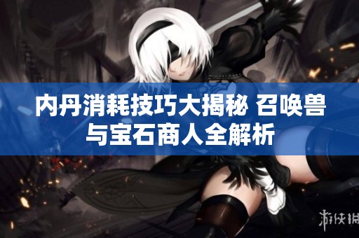 内丹消耗技巧大揭秘 召唤兽与宝石商人全解析
