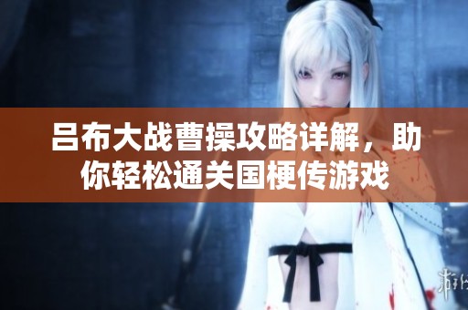 吕布大战曹操攻略详解，助你轻松通关国梗传游戏