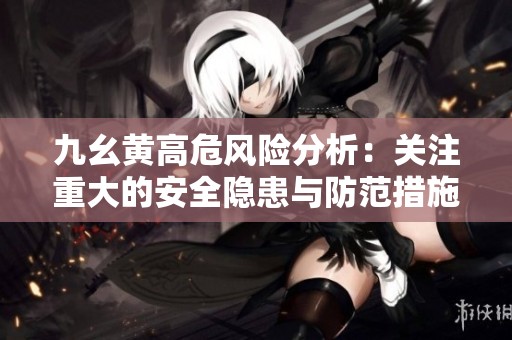九幺黄高危风险分析：关注重大的安全隐患与防范措施
