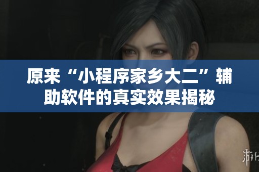 原来“小程序家乡大二”辅助软件的真实效果揭秘