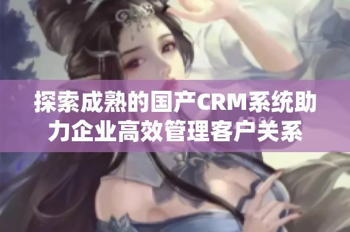 探索成熟的国产CRM系统助力企业高效管理客户关系