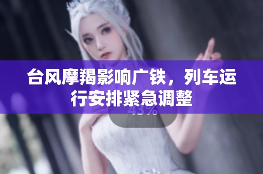 台风摩羯影响广铁，列车运行安排紧急调整