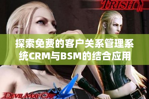 探索免费的客户关系管理系统CRM与BSM的结合应用