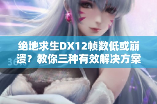 绝地求生DX12帧数低或崩溃？教你三种有效解决方案