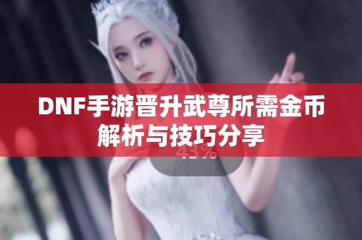 DNF手游晋升武尊所需金币解析与技巧分享