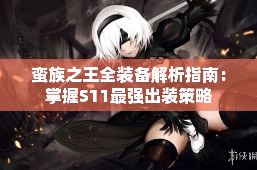 蛮族之王全装备解析指南：掌握S11最强出装策略