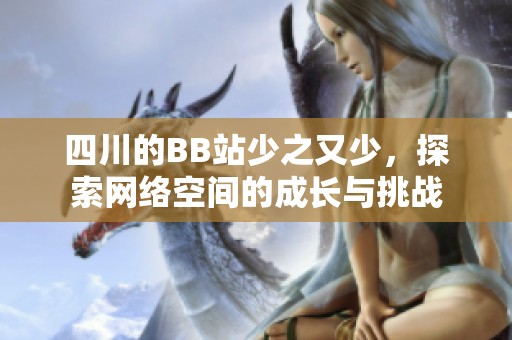 四川的BB站少之又少，探索网络空间的成长与挑战