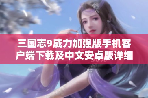 三国志9威力加强版手机客户端下载及中文安卓版详细介绍