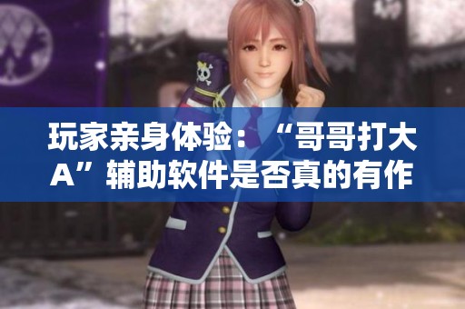 玩家亲身体验：“哥哥打大A”辅助软件是否真的有作弊功能？