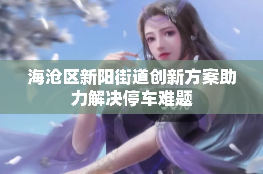 海沧区新阳街道创新方案助力解决停车难题