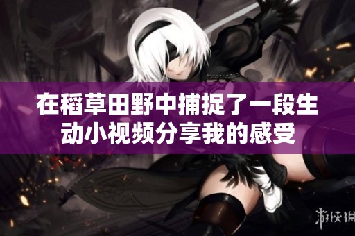 在稻草田野中捕捉了一段生动小视频分享我的感受