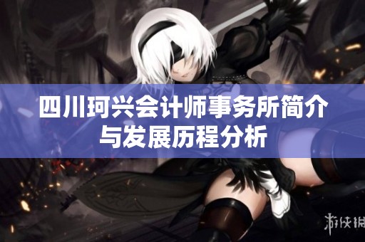 四川珂兴会计师事务所简介与发展历程分析
