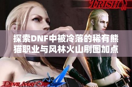 探索DNF中被冷落的稀有熊猫职业与风林火山刷图加点技巧