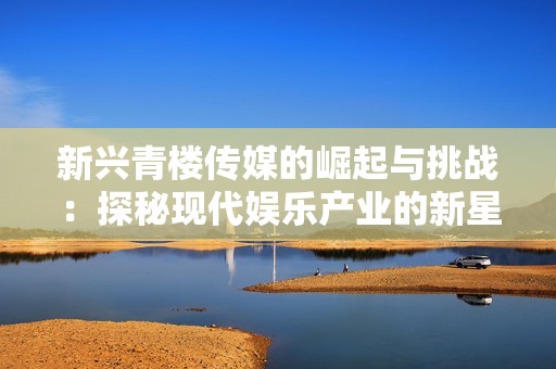 新兴青楼传媒的崛起与挑战：探秘现代娱乐产业的新星