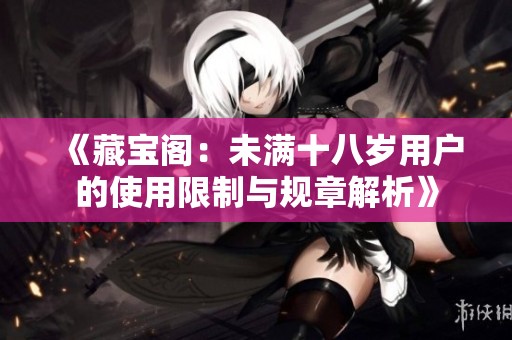 《藏宝阁：未满十八岁用户的使用限制与规章解析》